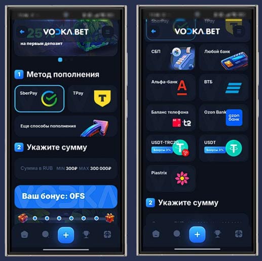 Способы оплаты в казино Vodka